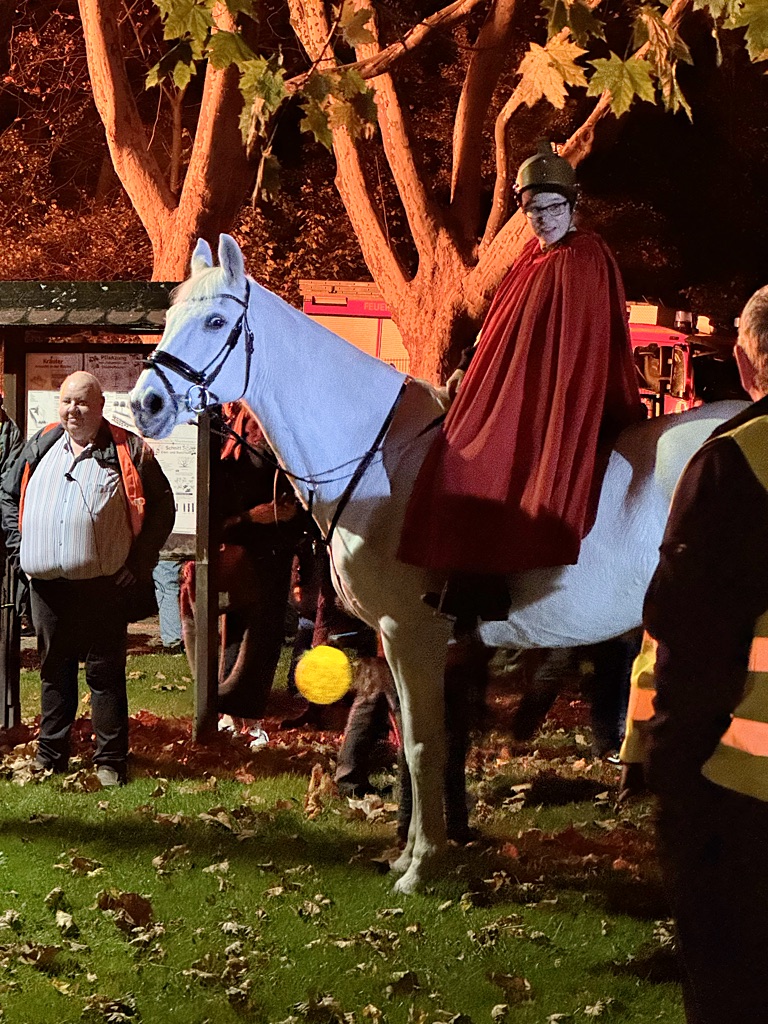 Laternenausstellung 2025 11